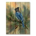 Ricki&Aposs Rugs 28 x 36 in. Bartholets Stellers Jay Inside & Outside Cedar Wall Art RI951712